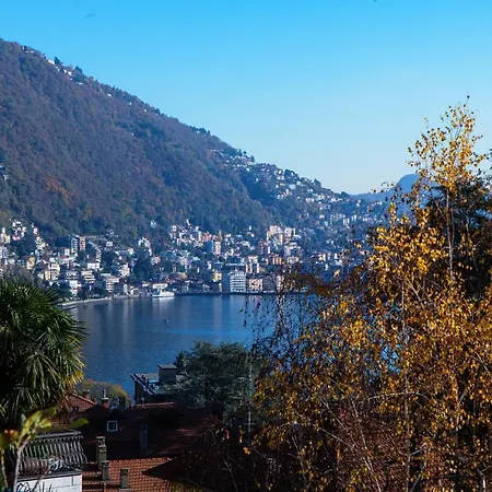 Love Is In The Air - By Myhomeincomo