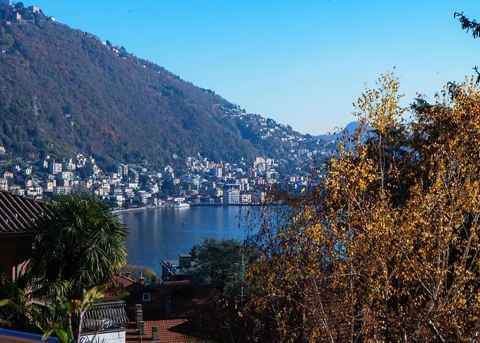 Love Is In The Air - By Myhomeincomo